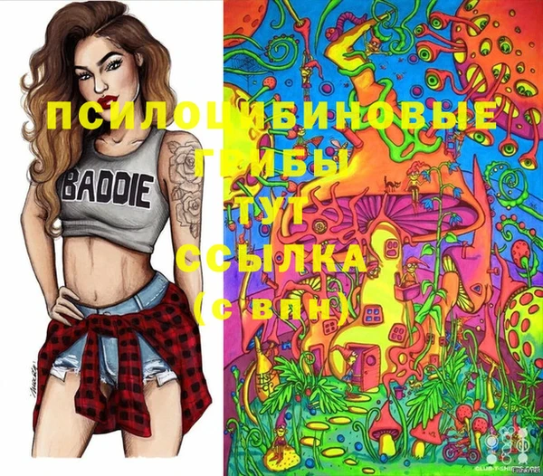 шишки Алзамай