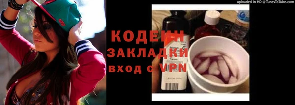 шишки Алзамай
