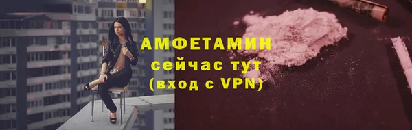 молекула духа Алексеевка