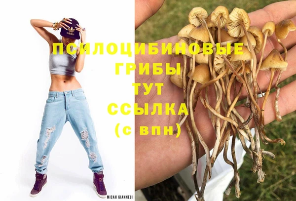 герыч Алексин