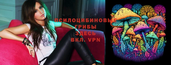 шишки Алзамай
