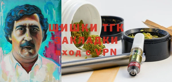 шишки Алзамай