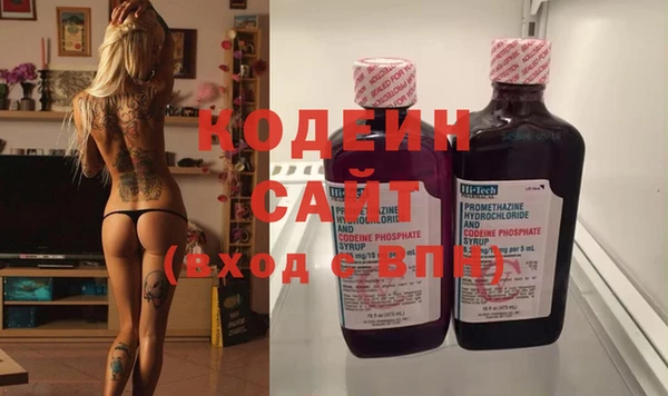 шишки Алзамай