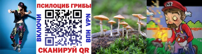 купить наркотики сайты  Невинномысск  Псилоцибиновые грибы ЛСД 