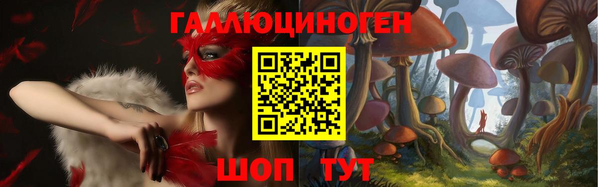 Псилоцибиновые грибы MAGIC MUSHROOMS  Псилоцибиновые грибы GOLDEN TEACHER  Невинномысск  Вход с VPN 